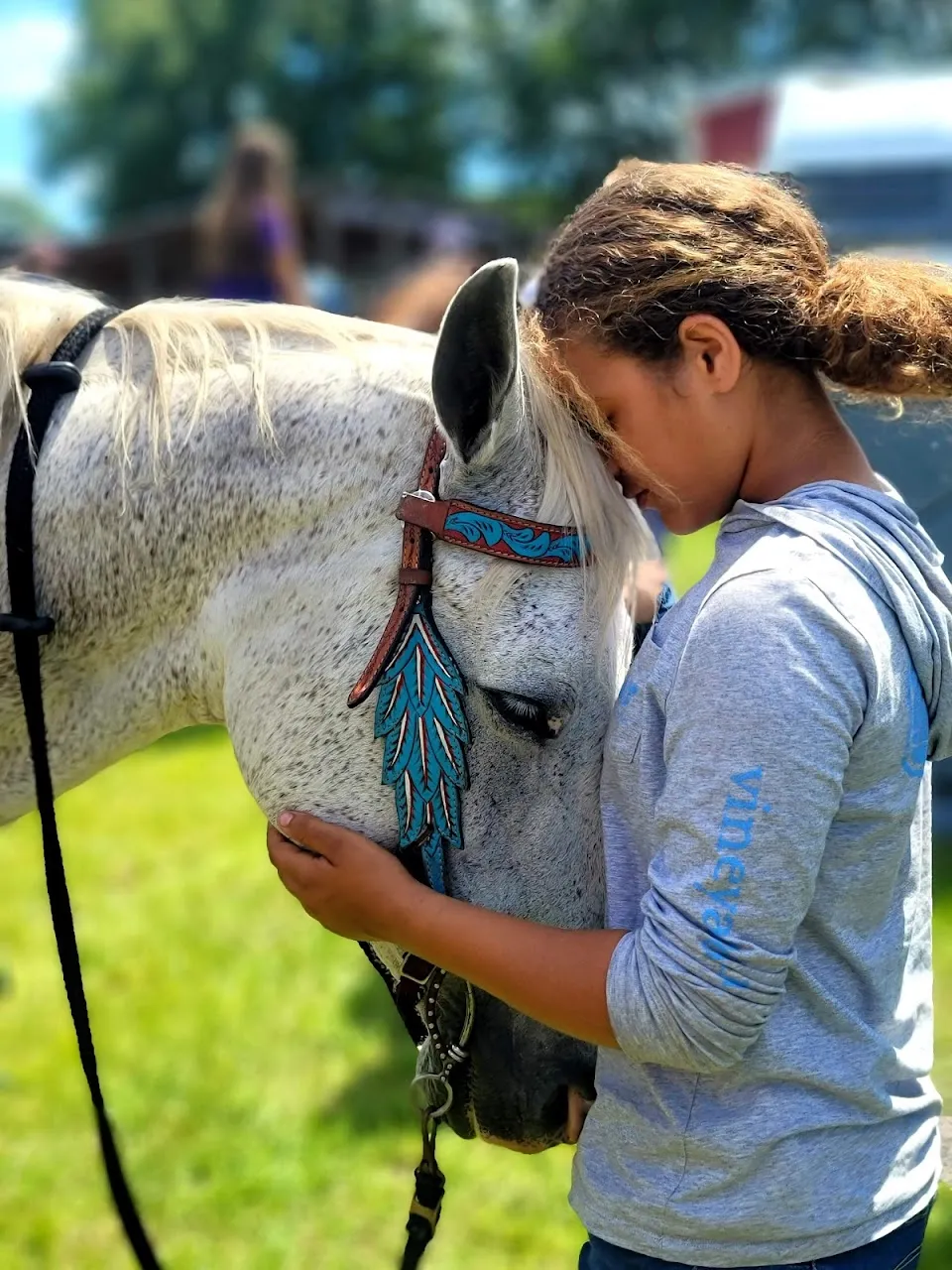 Reckless Ranch Horse Rides