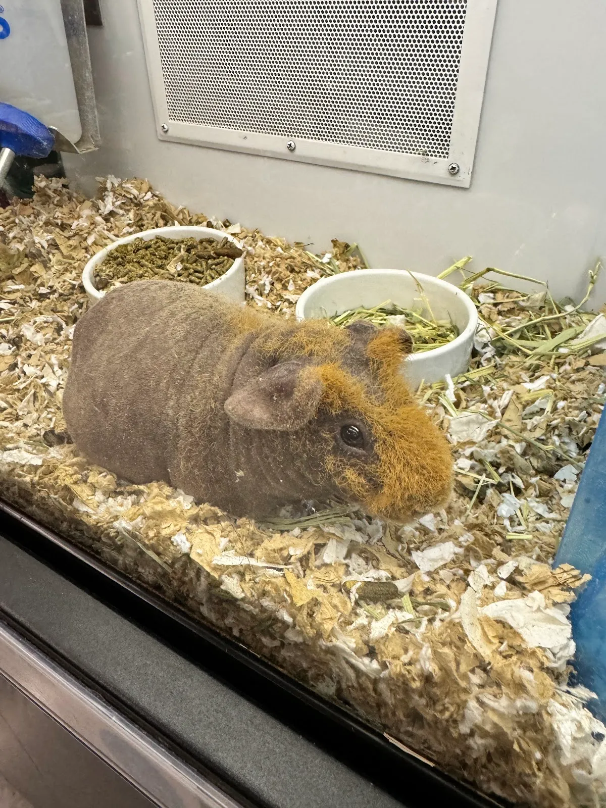 Petco