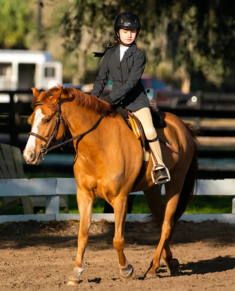 Canter Down Farms