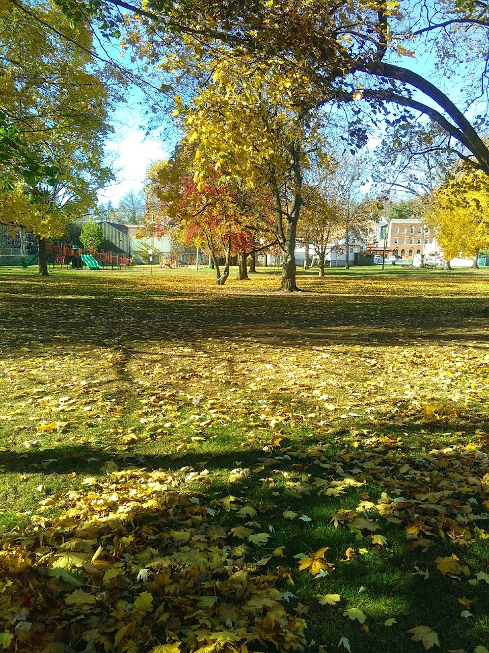 Thrall Park