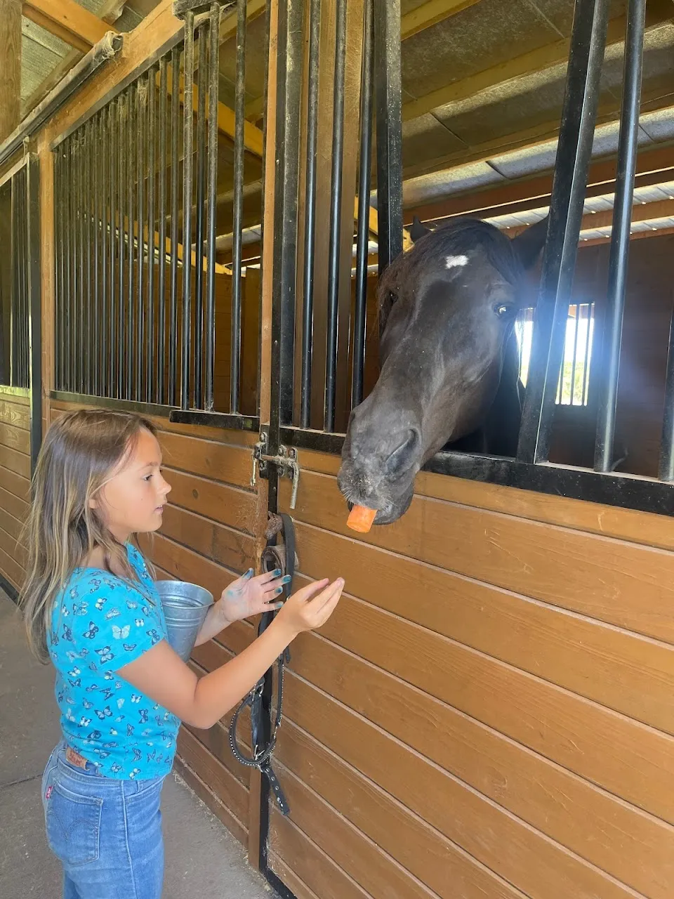 Divinity Stables
