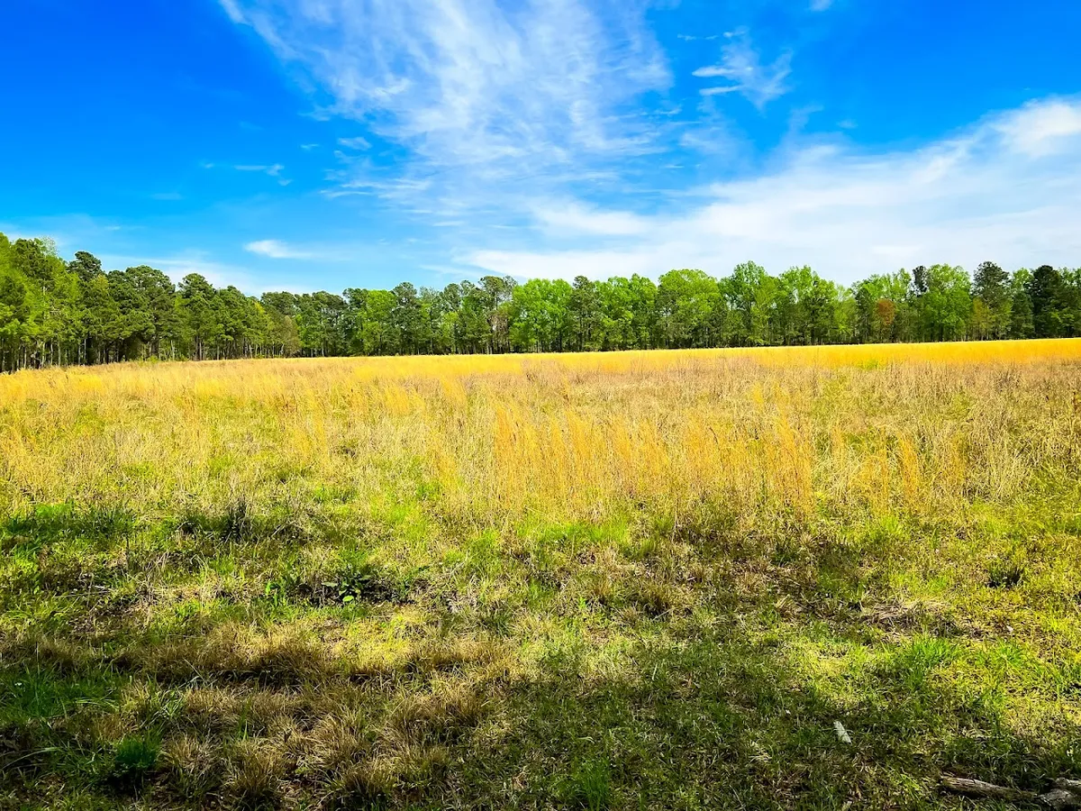 Santee National Wildlife Refuge - Cuddo Unit