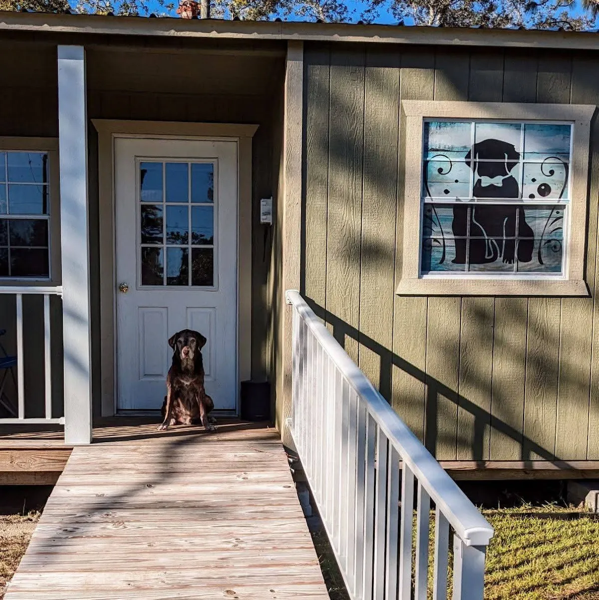 Nature Coast Pet Spa