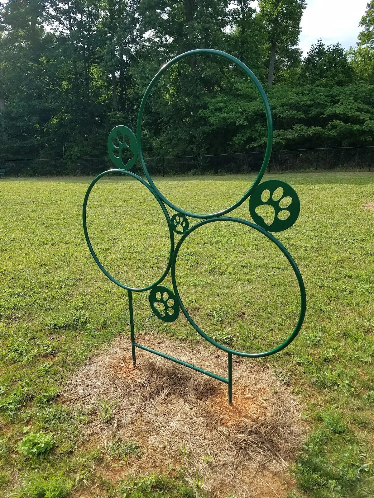King Dog Park