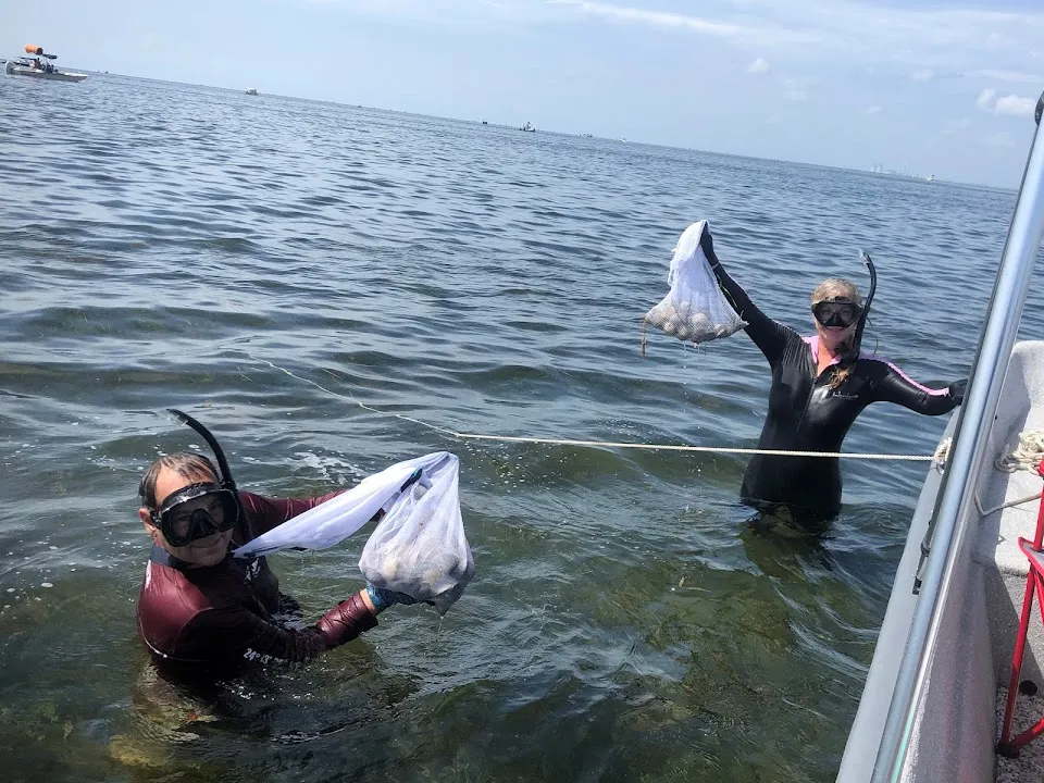 Scallop Charters & More