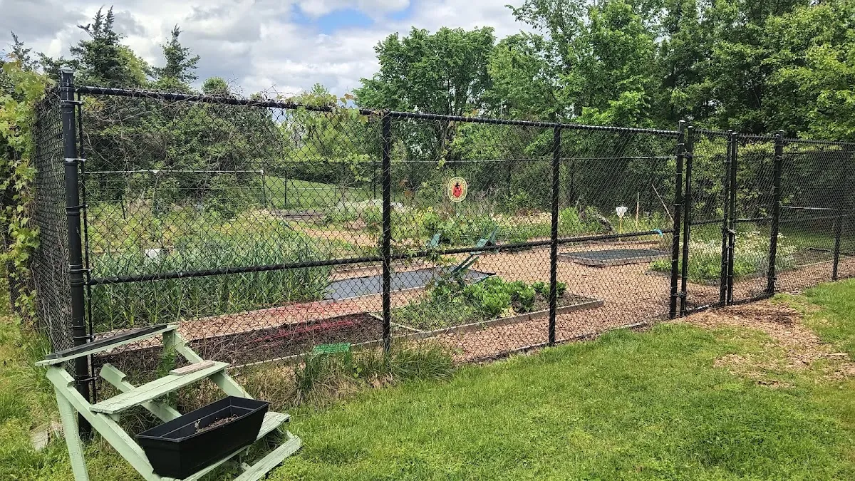 Old Town City Garden
