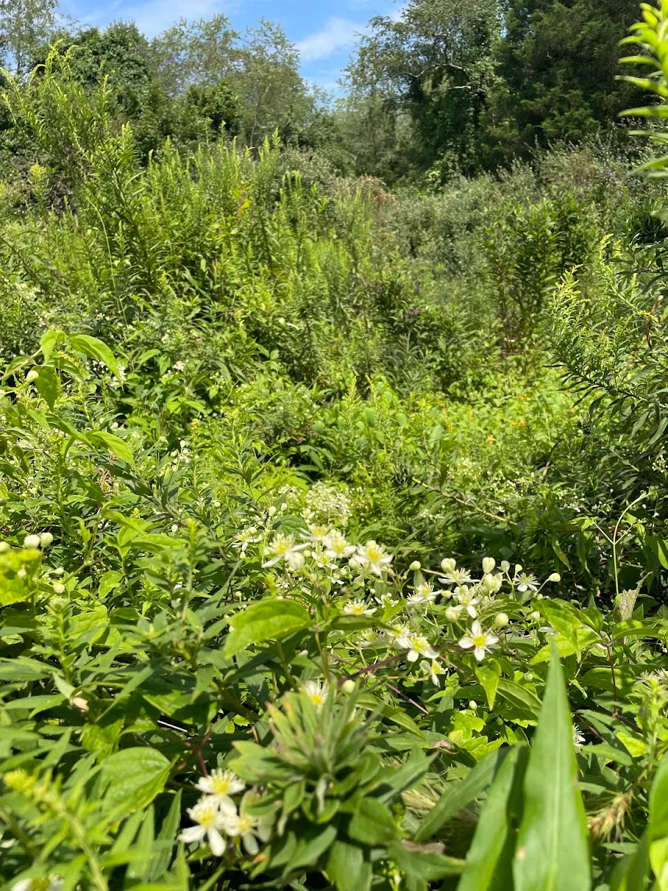 Price’s Park