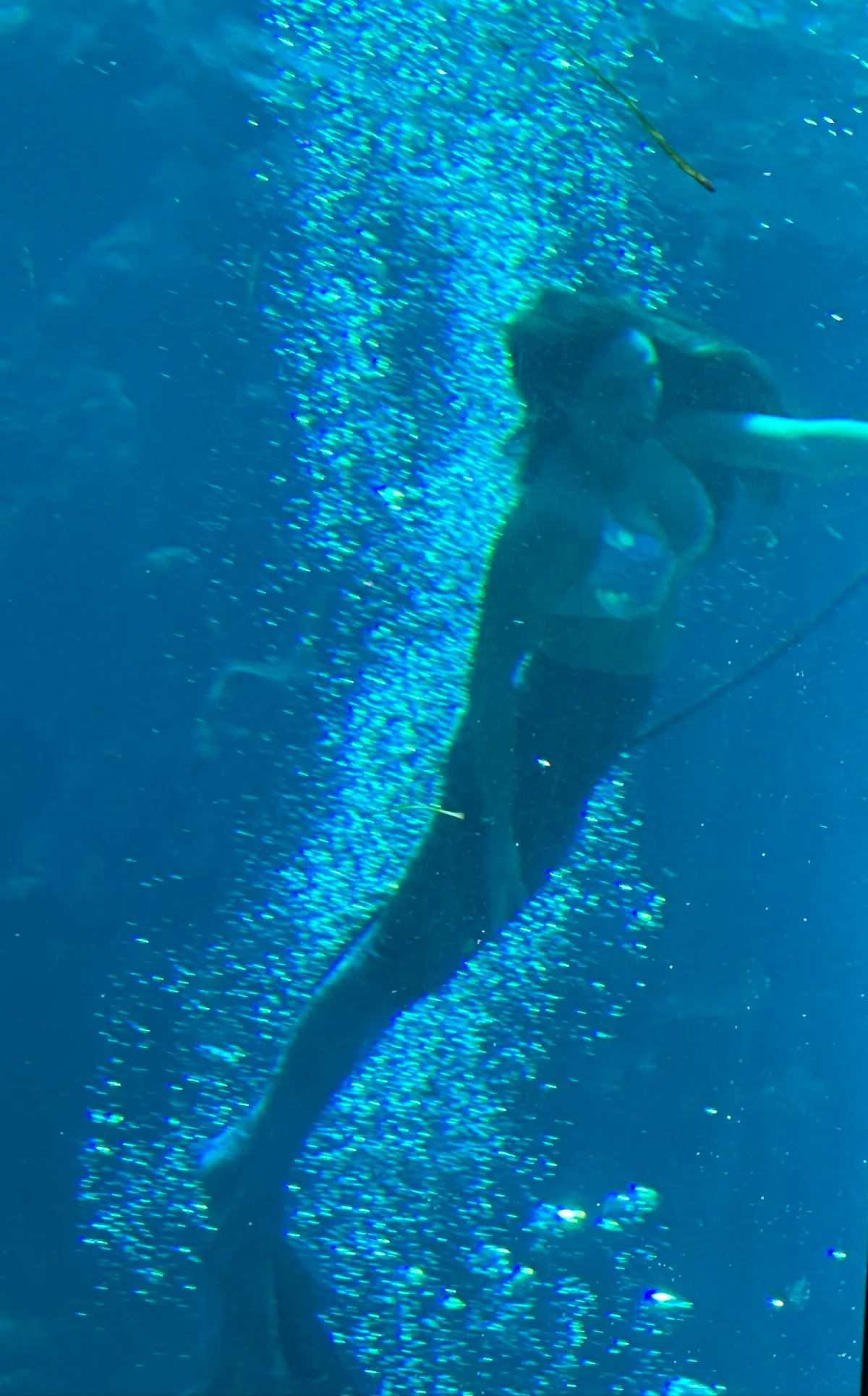 Weeki Wachee Gift Locker