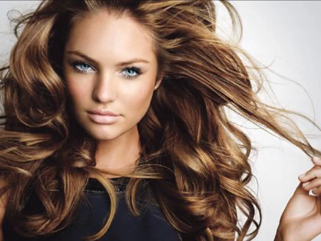 BlowDry 427