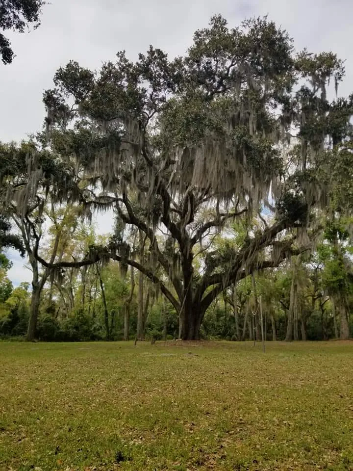 Wilmington Island Community Park