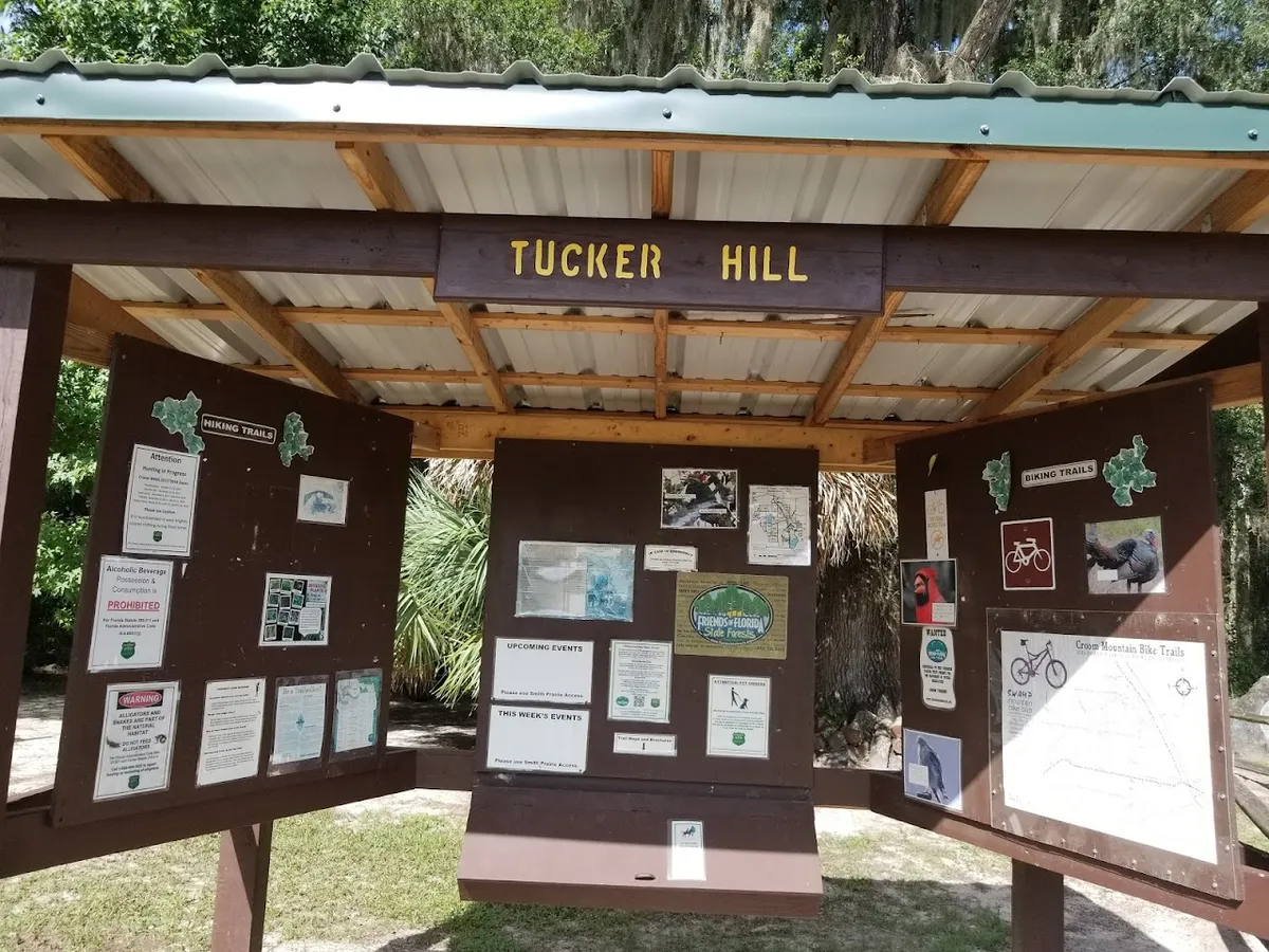 Withlacoochee State Forest - Tucker Hill Day Use Area
