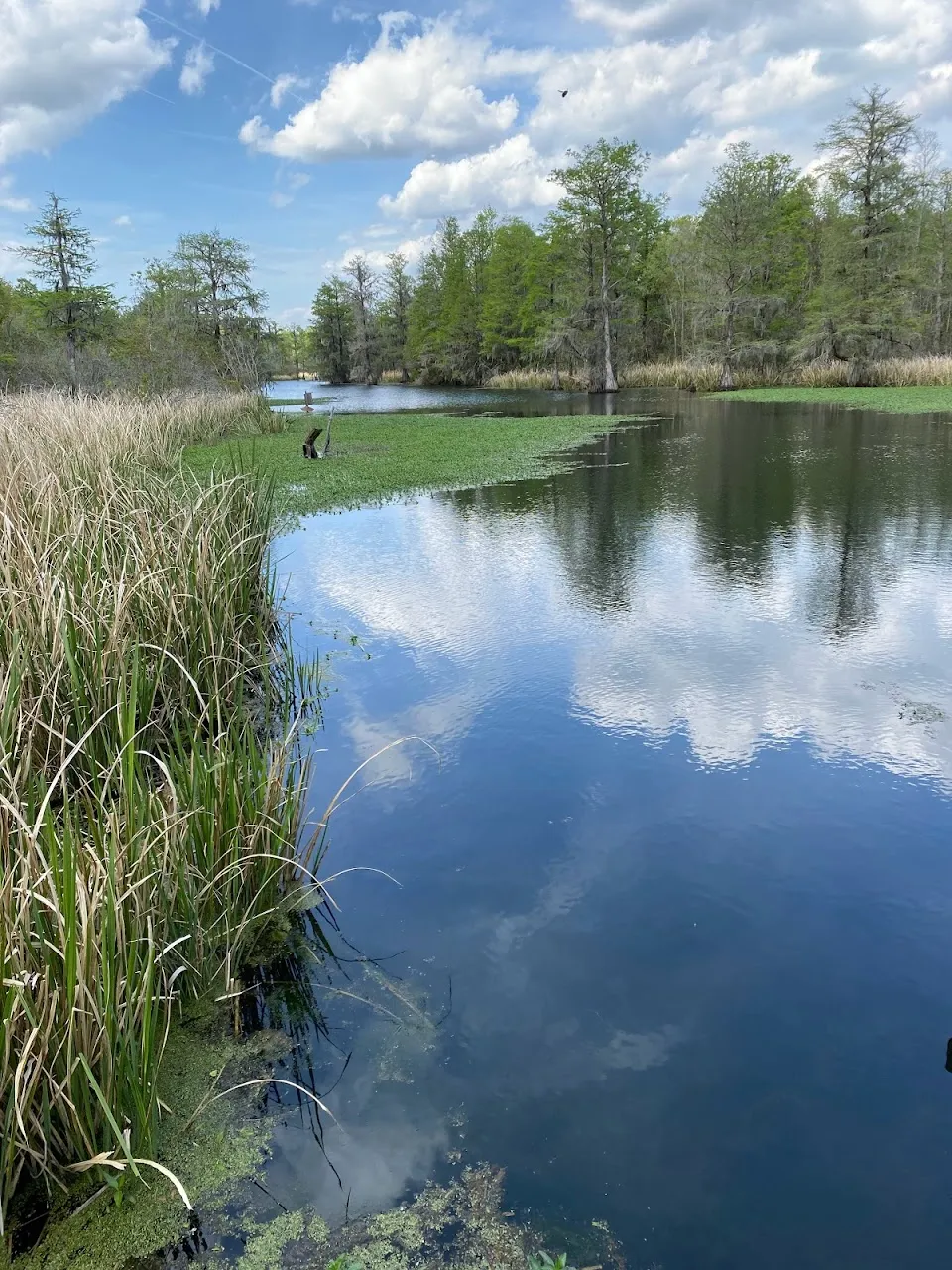 Old Santee Canal Park