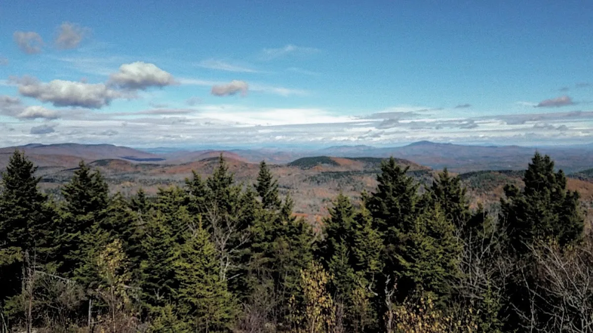 Lovewell Mountain Trail