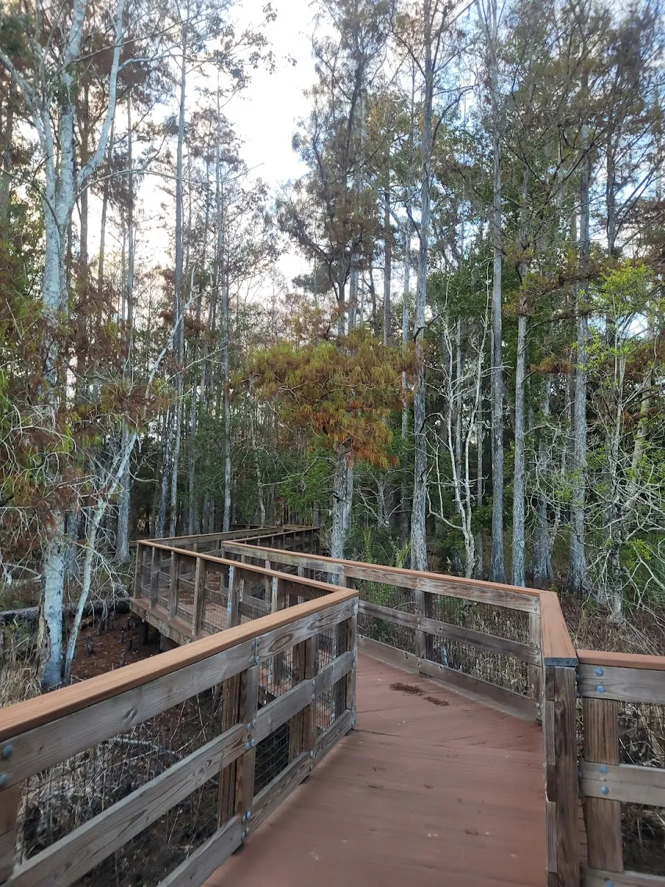 Chinsegut Wildlife Trail