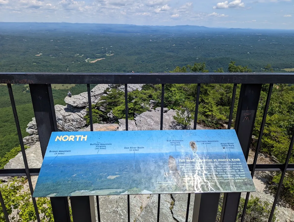 Moore's Knob Observation Tower