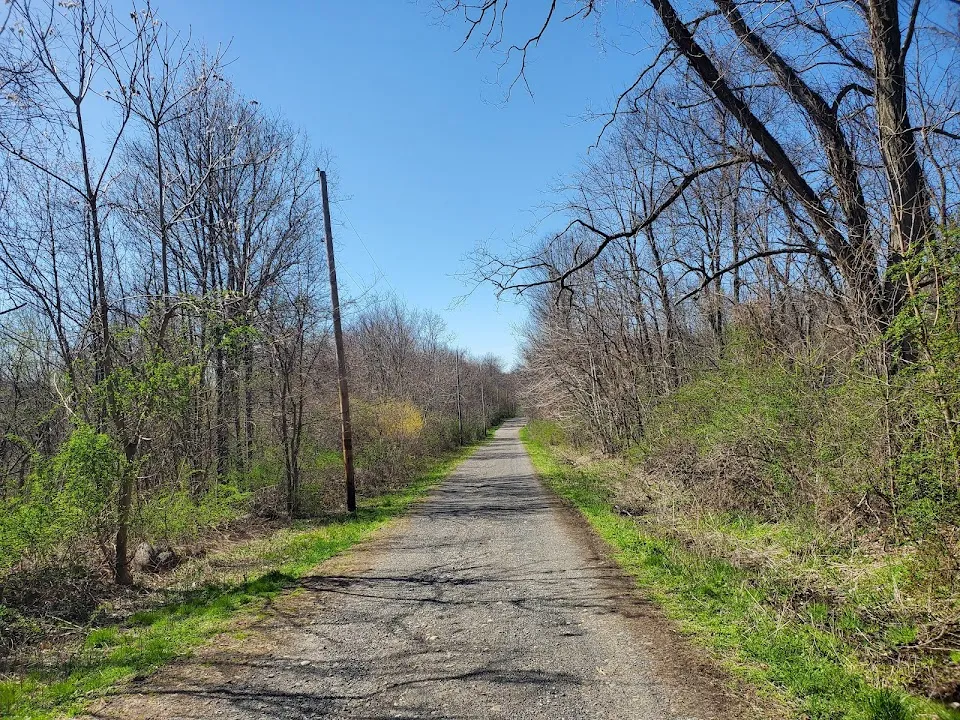 Stewart State Forest