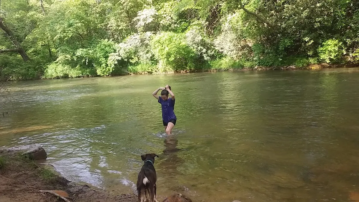 Flippin Farm On the Dan
