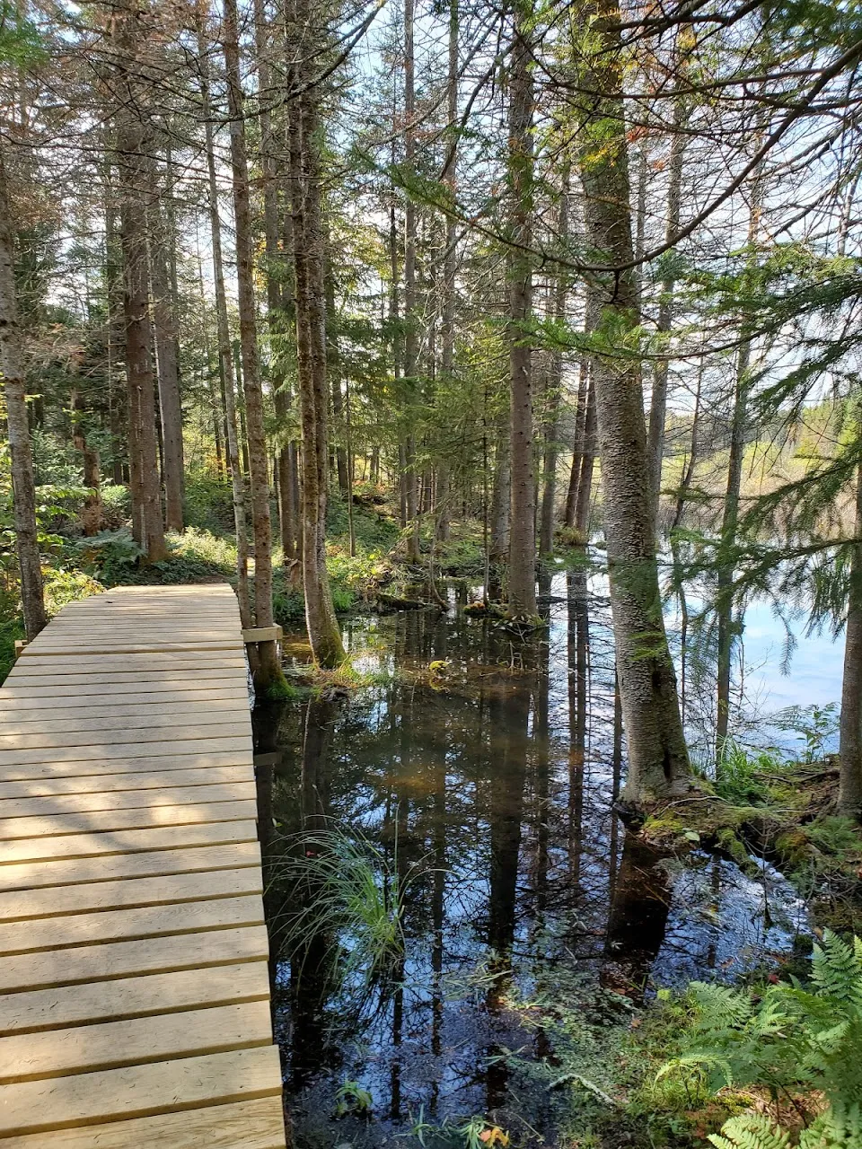 Shawangunk Nature Preserve