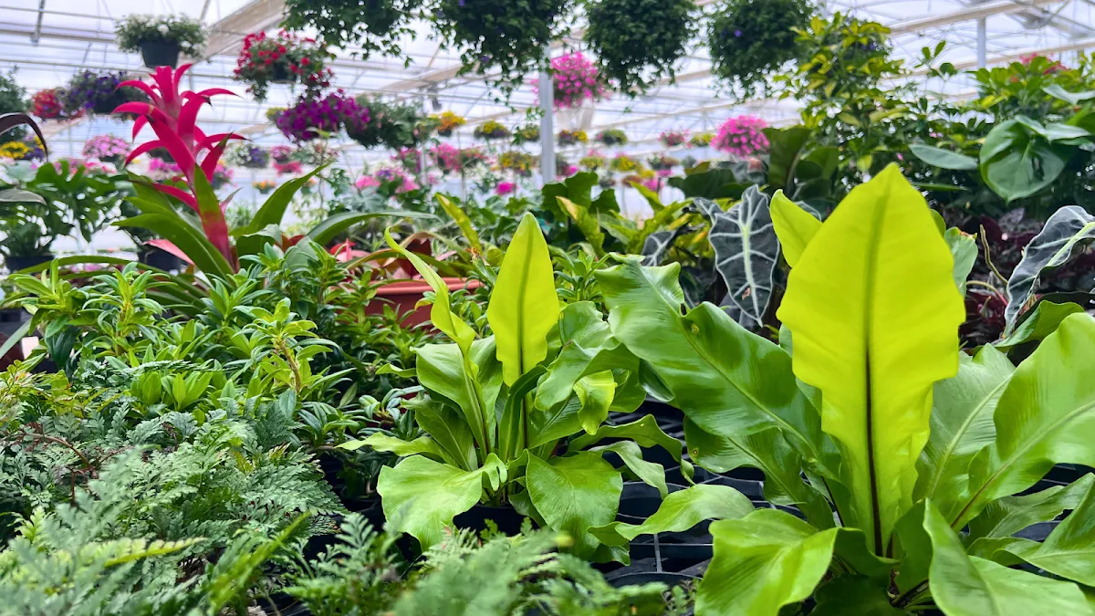 Mitchell's Nursery & Greenhouse Inc.