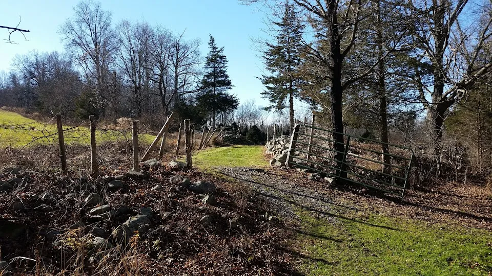 Pine View Farm