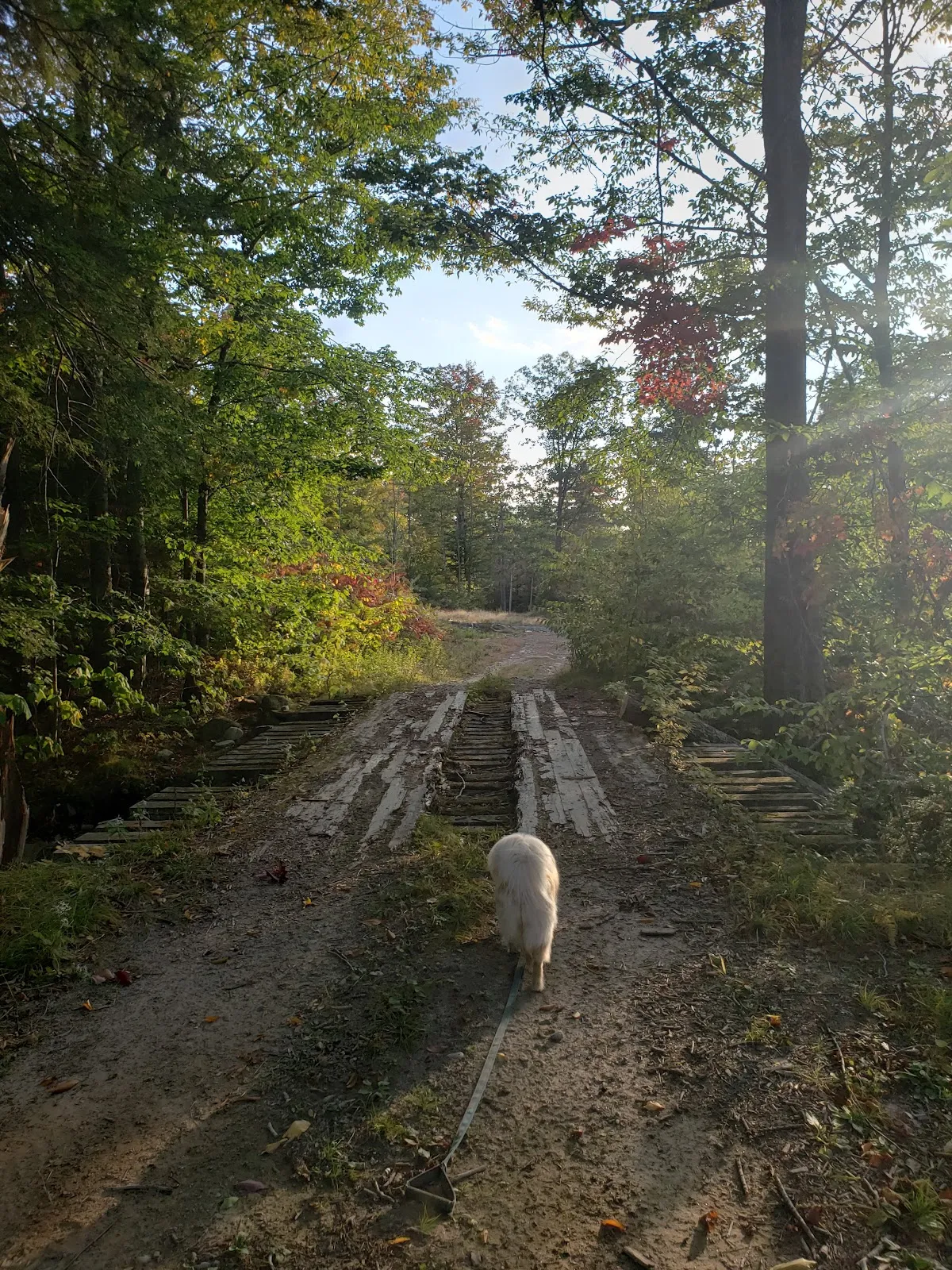 Goshen Trail
