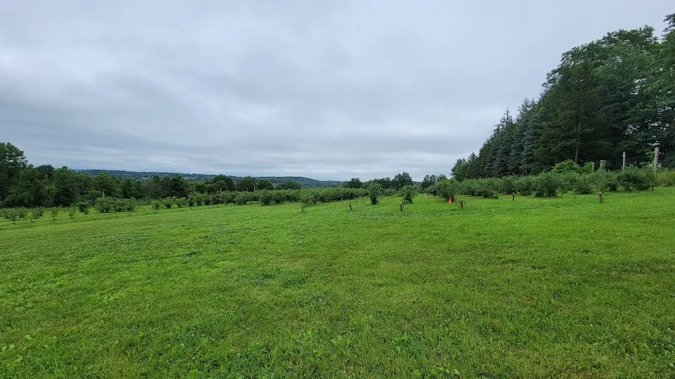 Halfway Acres (Organic Blueberries U-Pick )