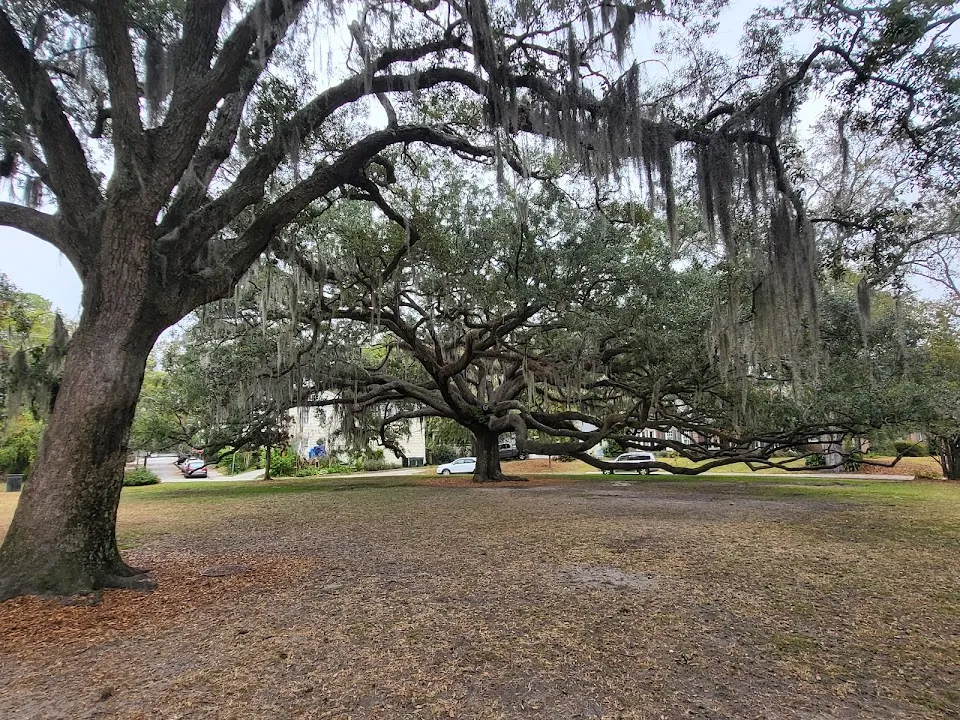 McCauley Park
