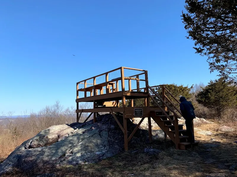 Mount Peter Hawk Watch