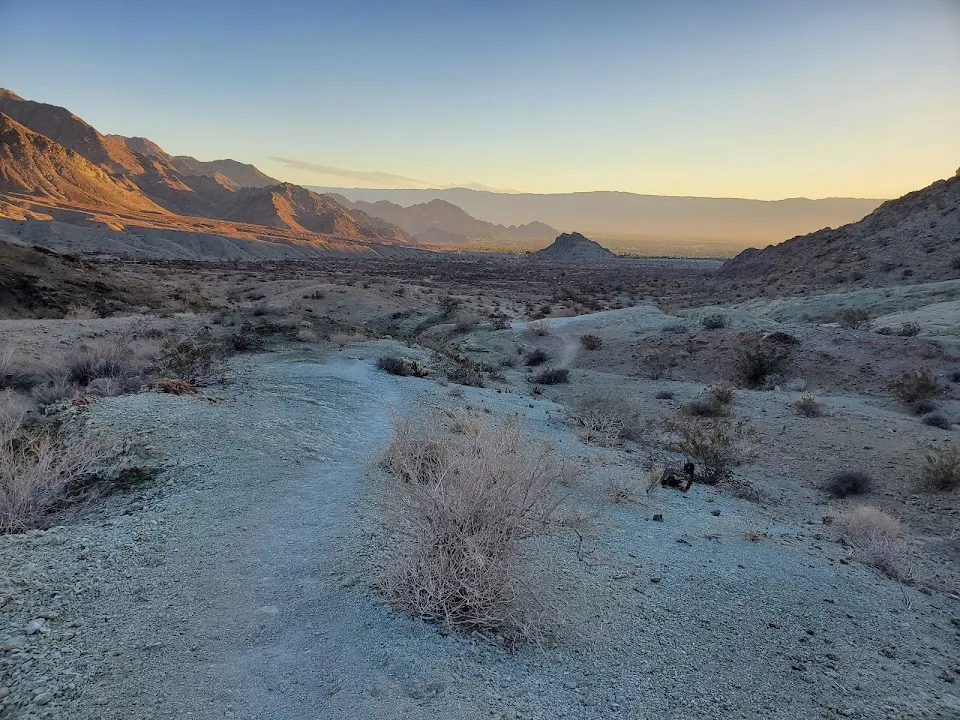 Cove Oasis Picnic Area