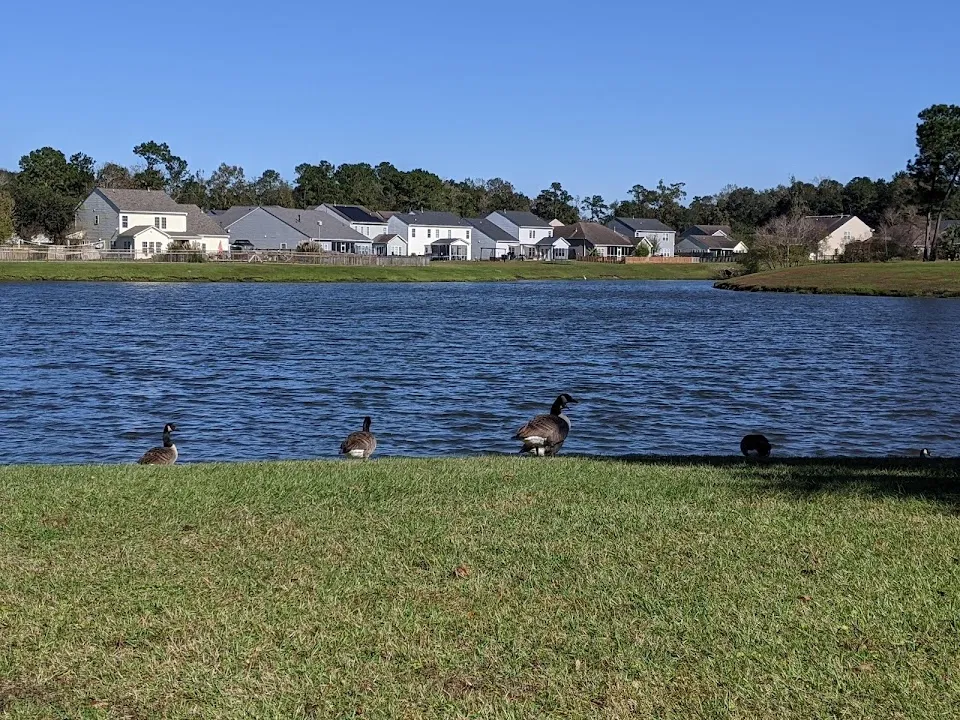 Oak Forest Pond