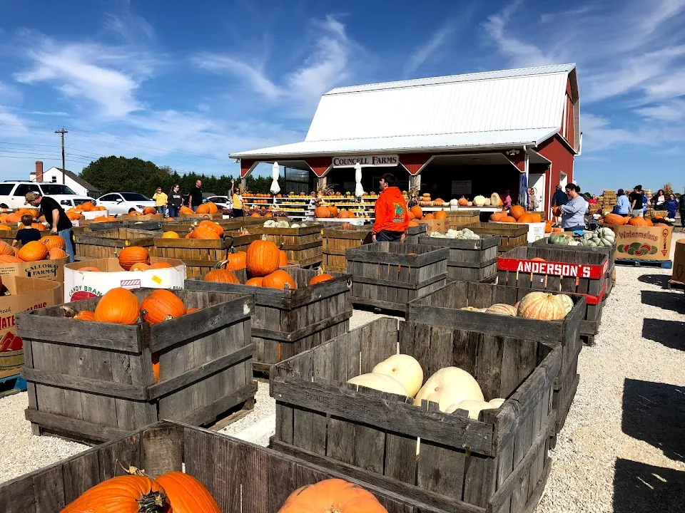 Councell Farms