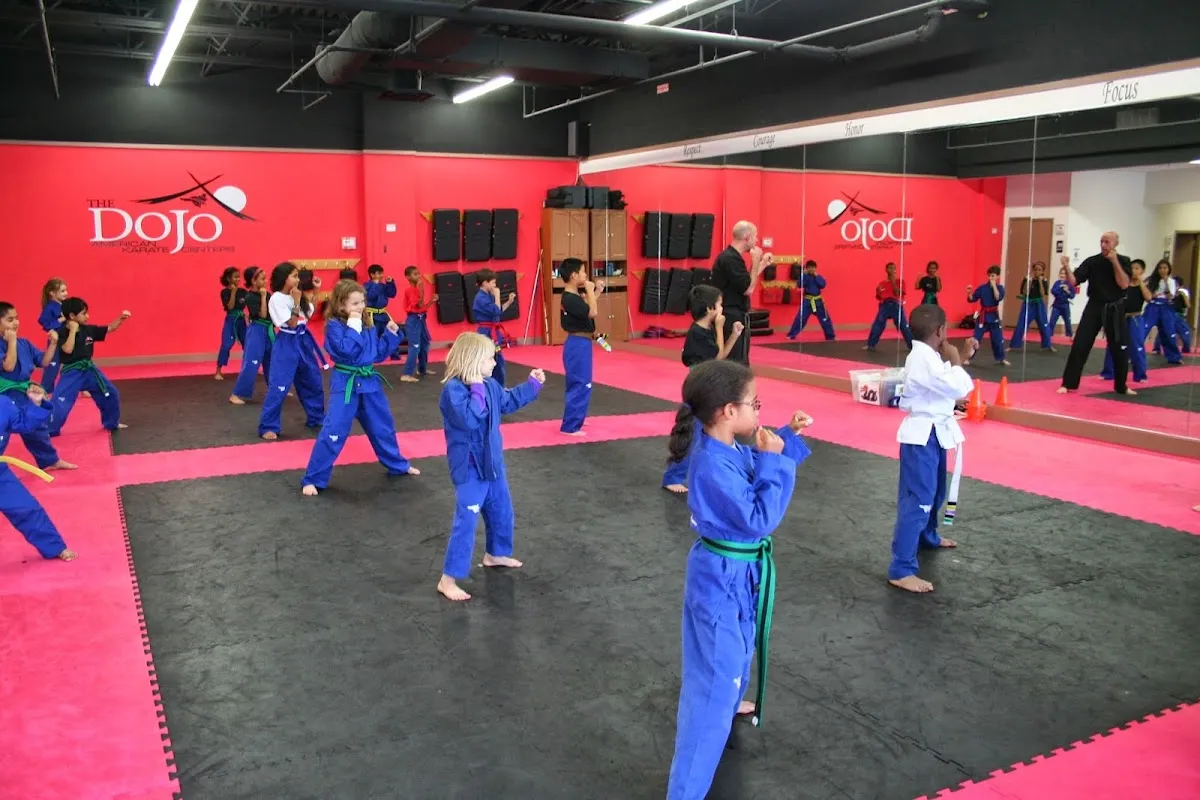The Dojo American Karate Centers