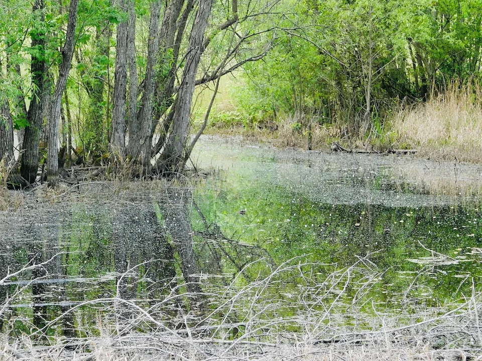 Santee State Park