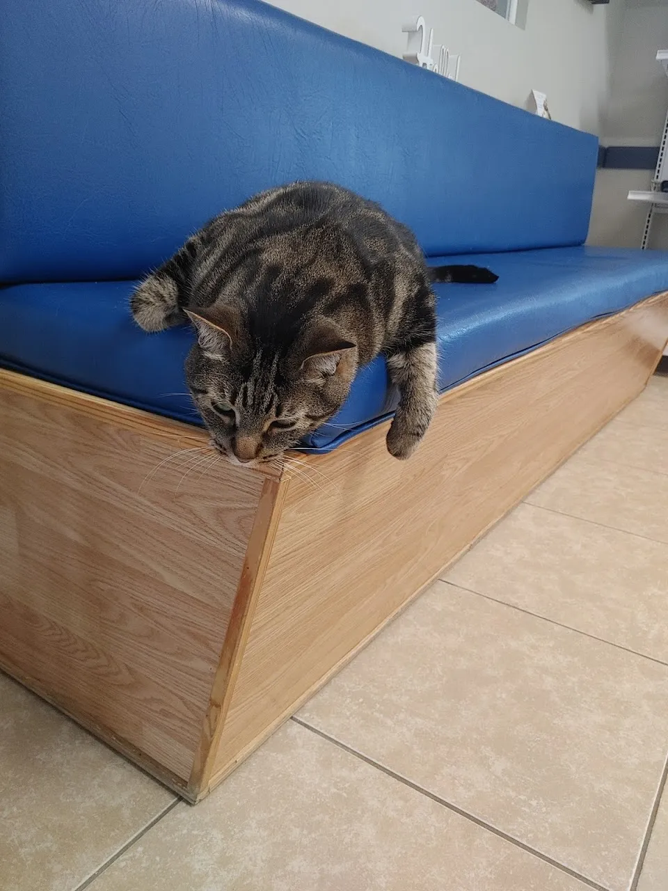 VCA Edgewater Shores Animal Hospital
