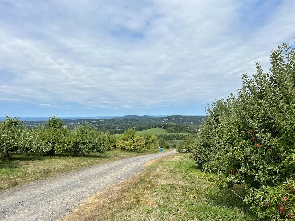 Masker Orchards