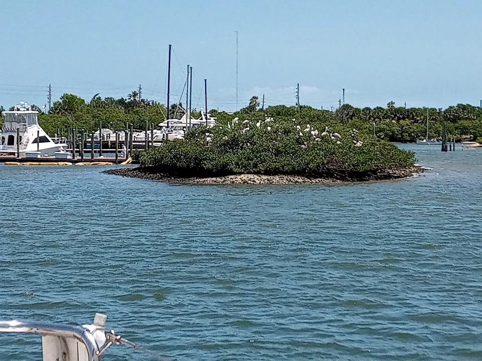 Marina at New Smyrna Beach