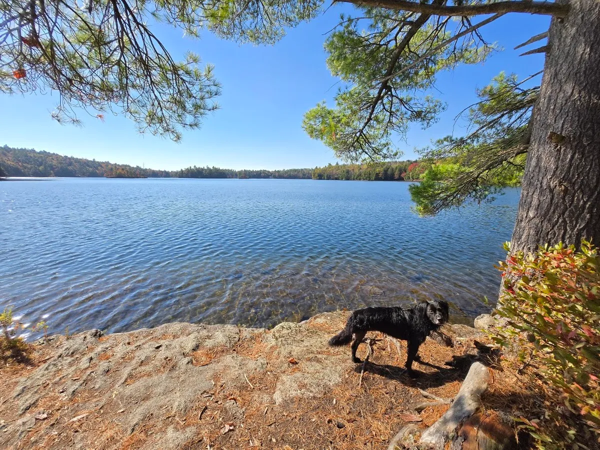 Ledge Pond Trail