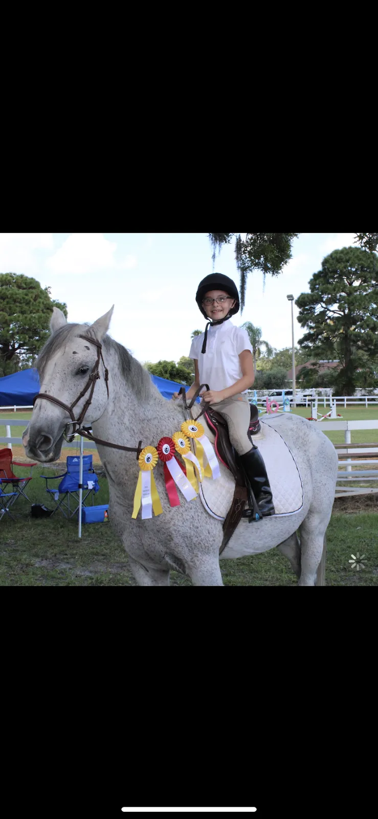 Lone Palm Stables