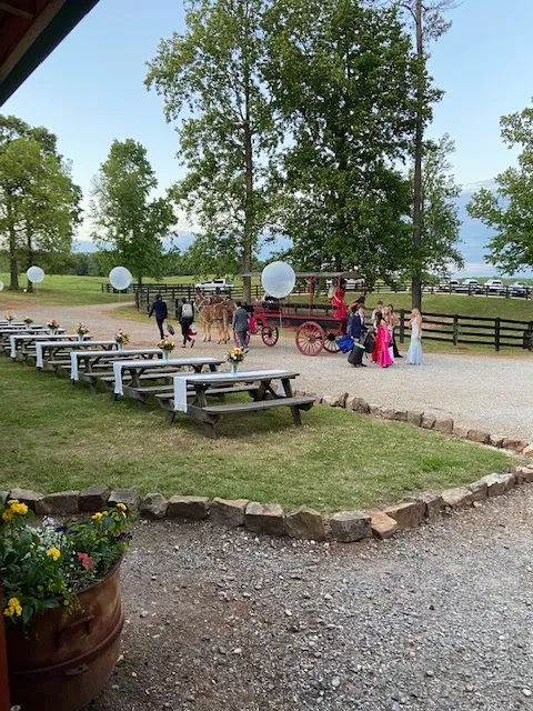 Honeysuckle Farms