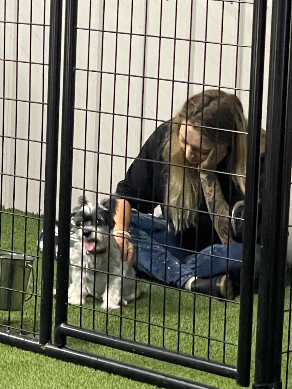 Nala's Ranch: Dog Boarding & Training