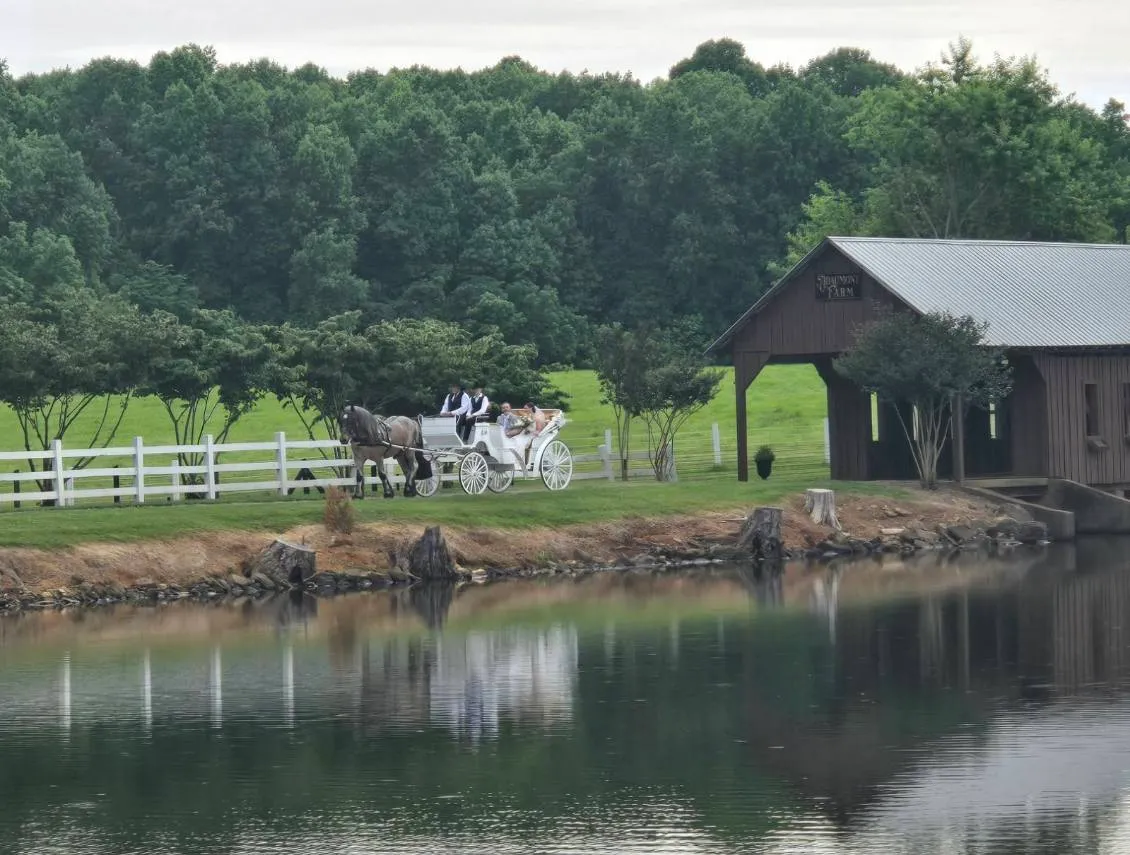 Dorvit's Camel City Carriage Rides