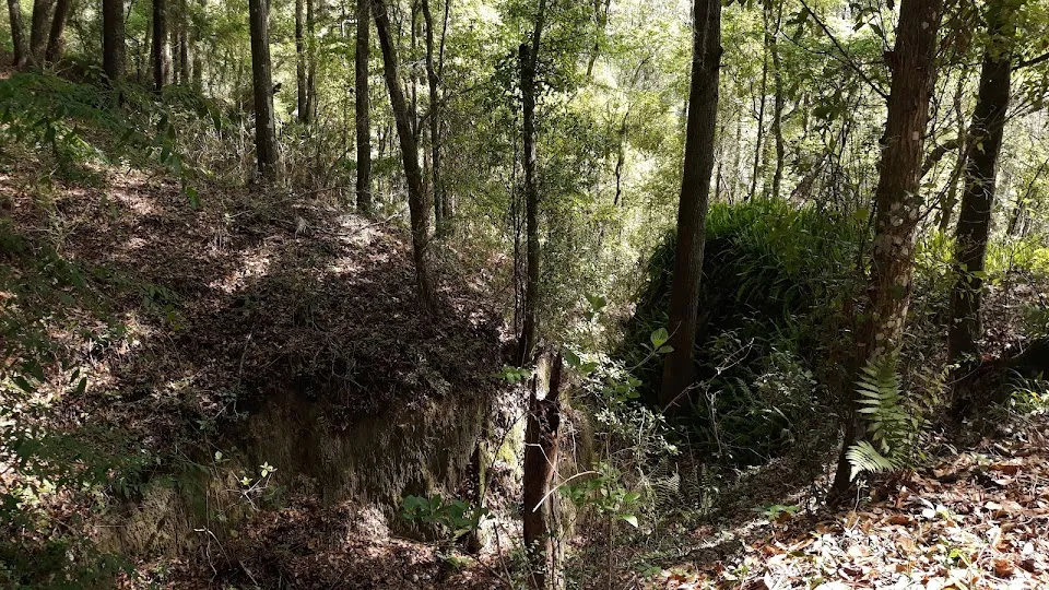 Croom MTB parking 1