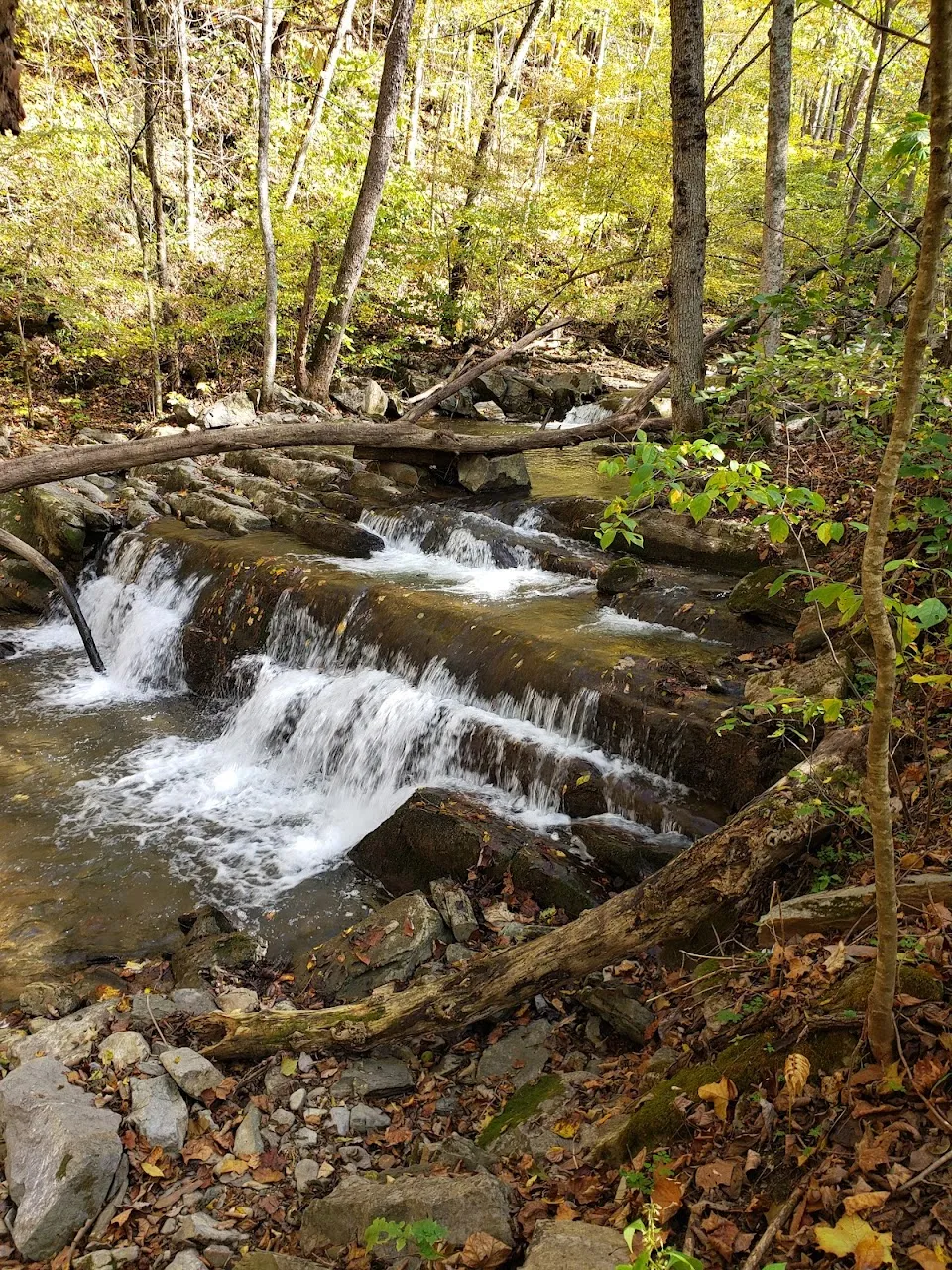 Falls Of Logan Creek
