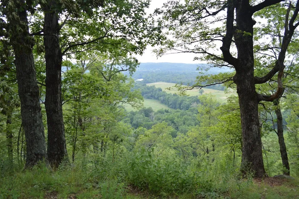 Sparrow Hawk Wildlife Management Area