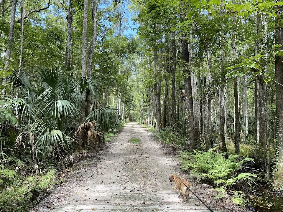 Chassahowitzka Wildlife Management Area