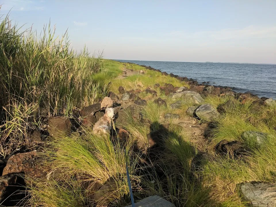 Claiborne Jetty