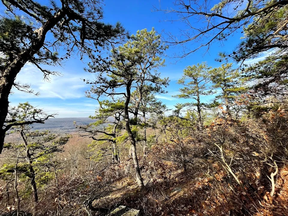 Lenape Ridge