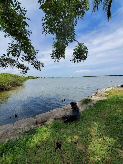 Oak Hill Fish Camp
