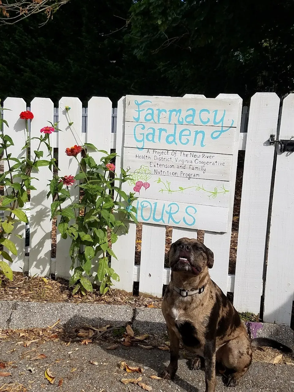 The Farmacy Garden
