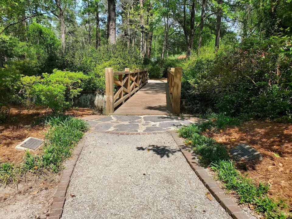 Turtle Pond